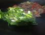 小米椒炒牛肉的做法图解7