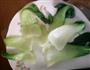香菇油菜的做法图解4