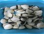白贝煮萝卜的做法图解1