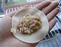 猪肉白菜手工饺的做法图解11