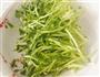 电饭锅豆芽香肠面的做法图解1