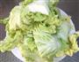 白菜虾仁的做法图解2