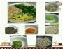 最美味饺子的做法图解14