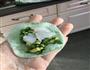 韭菜鸡蛋虾仁饺子的做法图解4