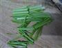 快手浓情蕃茄牛肉丸的做法图解4