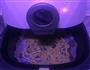 五香味干脆面的做法图解4
