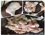 鸡肉土豆咖喱乌冬面的做法图解1