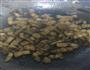 卤肉饭-红烧肉豆角的做法图解8