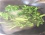 蚝油蒜香西兰花的做法图解3