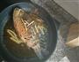 香烤鲫鱼的做法图解4
