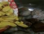 姜醋猪脚的做法图解7