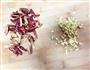 红糖姜枣玫瑰花茶的做法图解1