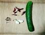 蓑衣黄瓜的做法步骤1