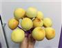 黛黛自制棒棒糖蛋糕的做法图解10