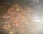糖醋排骨的做法图解8