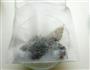 颜控的泡菜的做法图解2