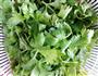 芹菜叶鸡蛋饼的做法图解1