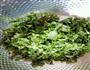 芹菜叶鸡蛋饼的做法图解2