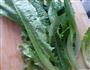 花生酱凉拌油麦菜的做法图解1
