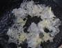 银耳雪梨羹的做法图解3