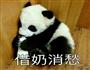 还有一个月过年，好方的做法图解16