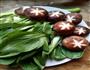 香菇油菜的做法图解2