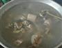 五样东西一锅猪骨莲藕汤的做法图解1