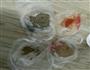 烤土豆片的做法图解2