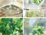 西兰花泥米糊 宝宝辅食微课堂的做法图解3