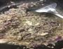 法式酥皮蘑菇汤的做法图解4