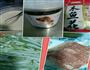 香喷喷的小烤鸡的做法图解1