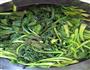 四季宝菠菜沙拉的做法图解4