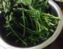 油拌菠菜的做法图解1