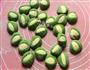 翡翠饺子白菜饺子的做法图解12