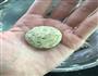 和风茶点-玄米茶菓子的做法图解6