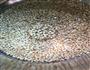 和风茶点-玄米茶菓子的做法图解7