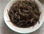 酒醉河虾的做法图解4