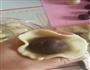 蛋黄酥的做法图解10