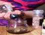 薄荷虾饼佐油醋汁沙拉的做法图解10