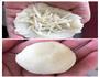 浓香芝士球的做法图解2