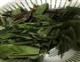 油菜柳炒腊肉的做法图解2
