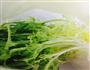 一人一个素素锅的做法图解1