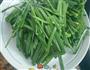 韭菜豆干的做法图解2