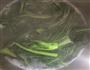 猪肝瘦肉菜心粥的做法图解8