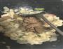 马蹄炒猪肝-猪肝怎么做既鲜又嫩的做法图解9