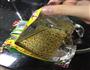 沙茶酱芝士面的做法图解1