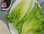 耗油青菜，让你爱上吃青菜的做法图解7