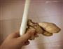 炸饹馇签子的做法图解1