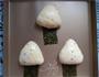 紫菜饭团面包的做法图解7