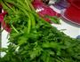 芹菜猪肉粉条水饺的做法图解1